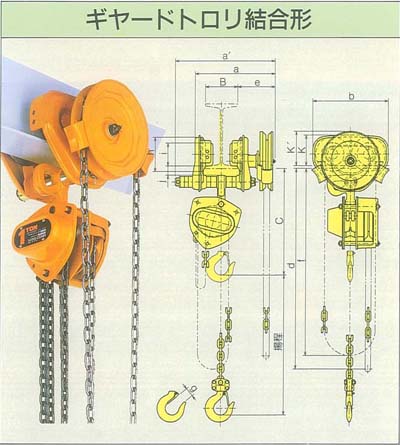 キトーマイティ　ギヤードロリ結合形